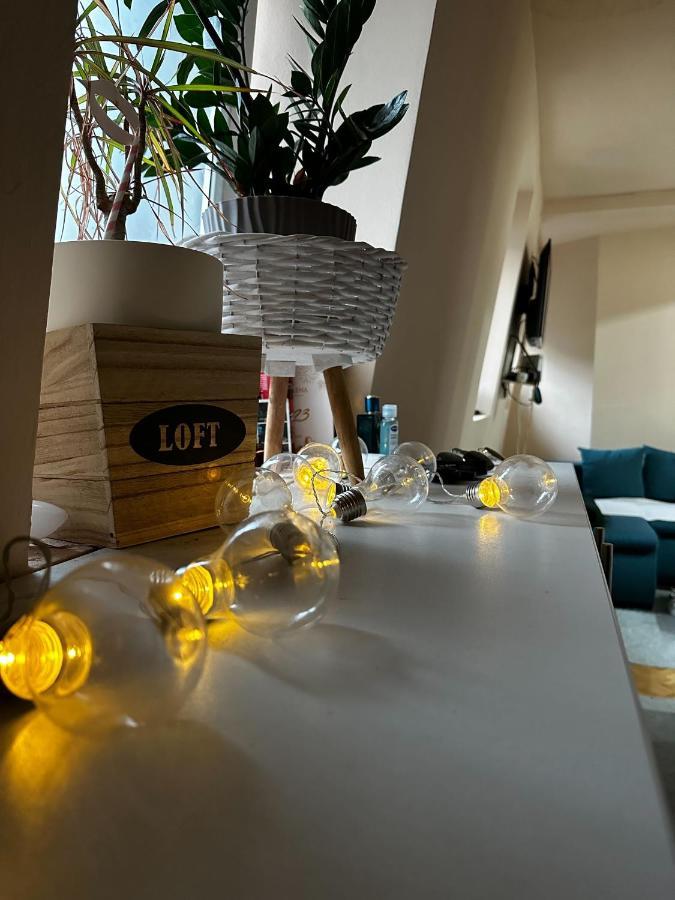 Cozy Loft Lägenhet